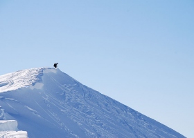 It\'s not the steep