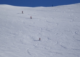 Opening Day - Getting high on Cockayne