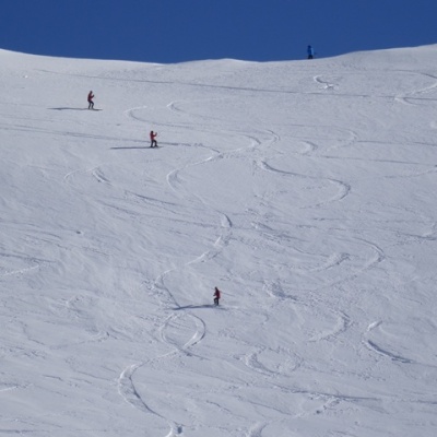Opening Day - Getting high on Cockayne
