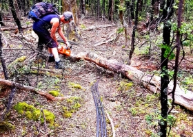 Checking-and-clearing-the-power-cable-through-the-Beech-Forest