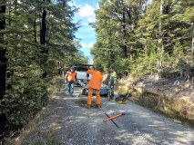 Road-maintenance-day
