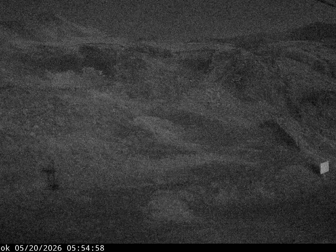 20-05-2026 at 06:43